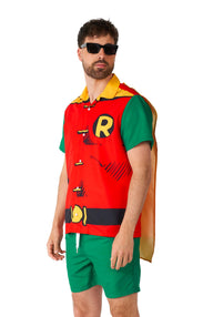 Robin costume