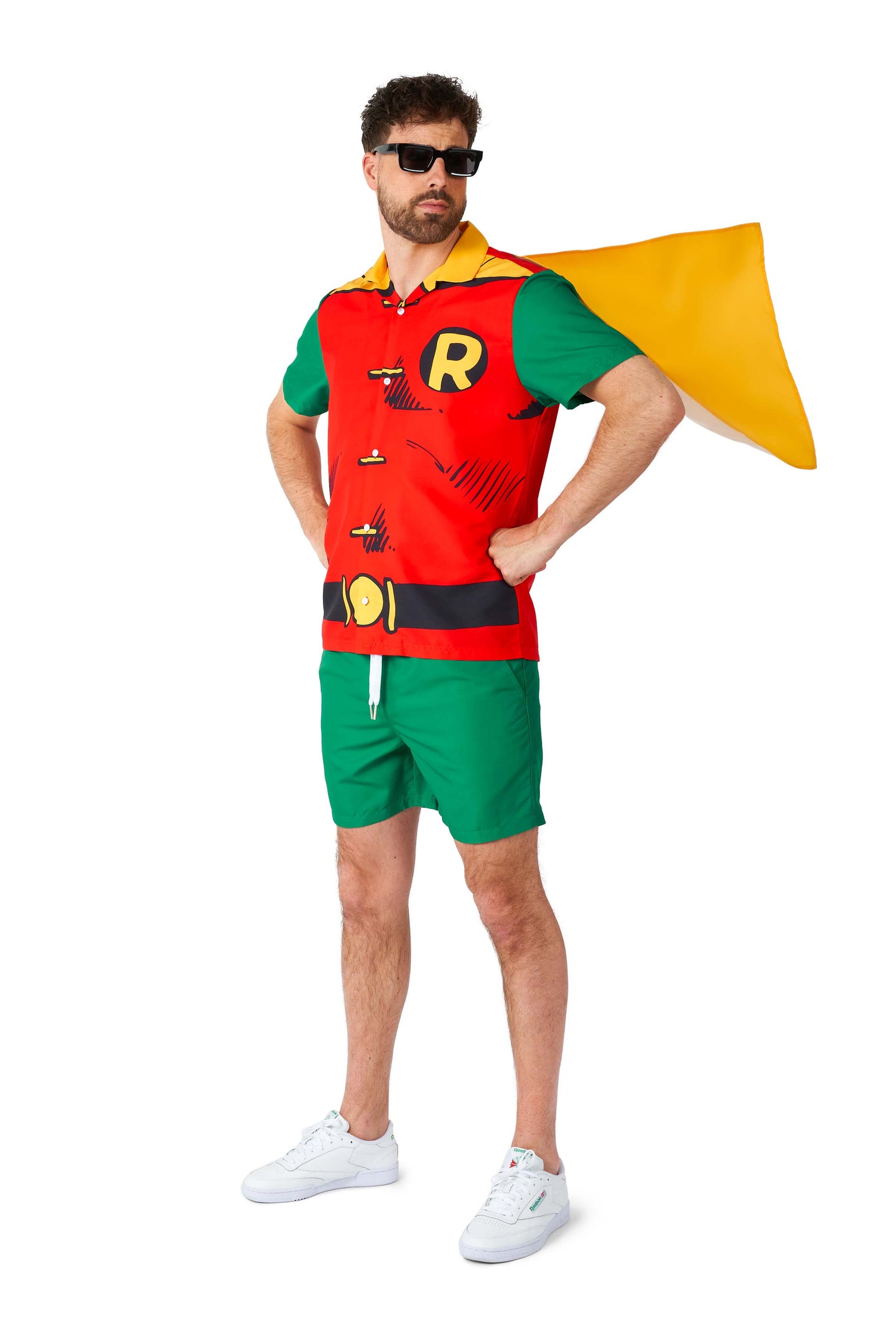Robin costume