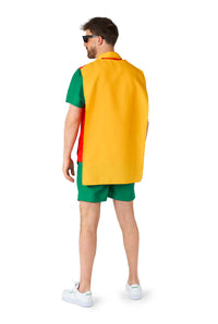 Robin costume