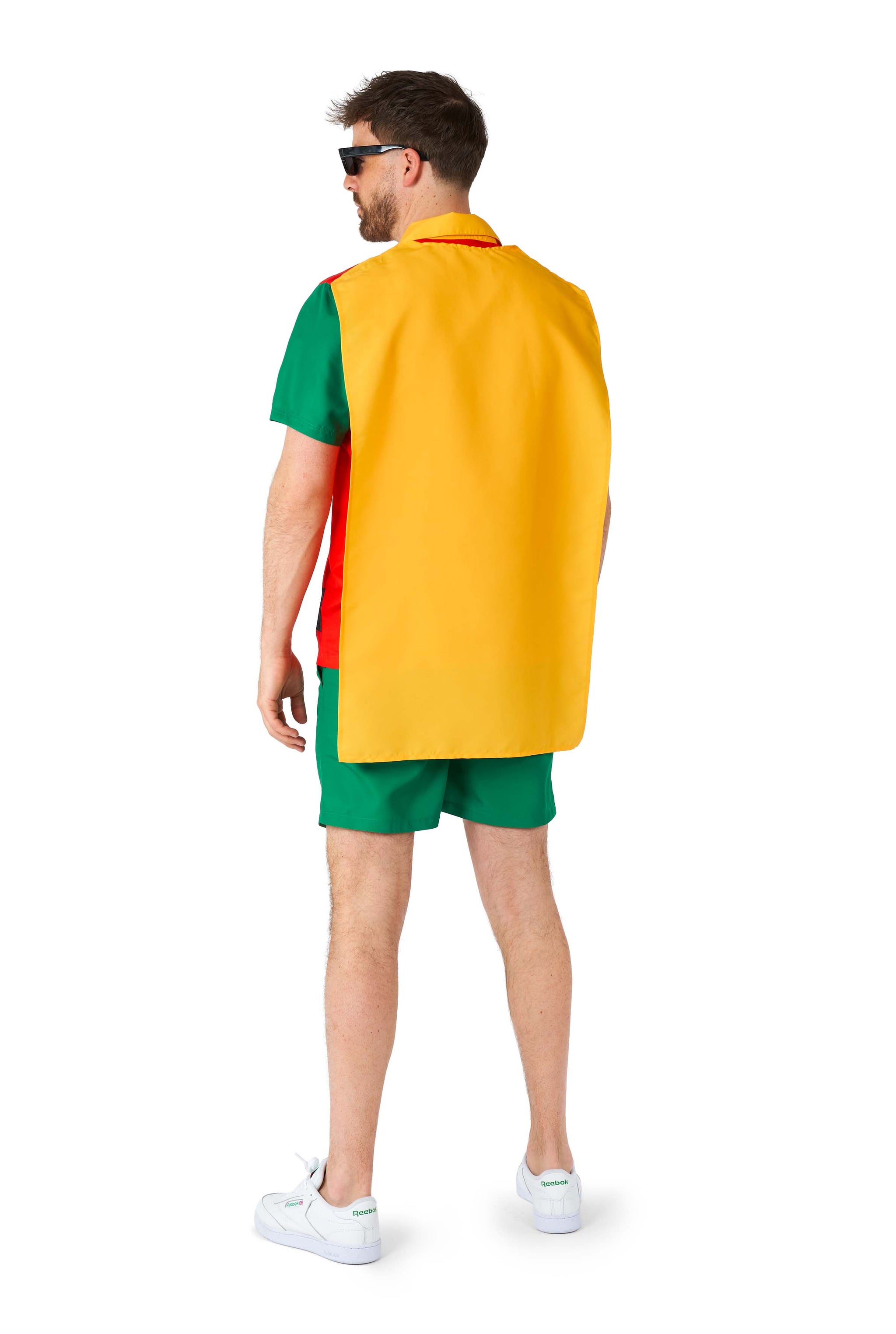 Robin costume