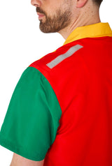Robin costume